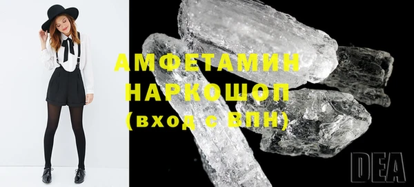 стаф Алзамай