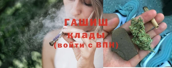 стаф Алзамай