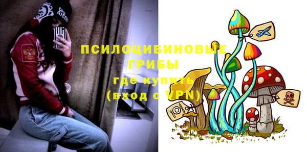 спайс Алексин