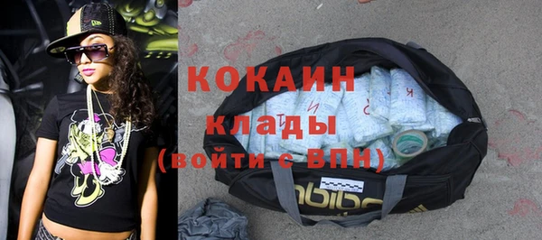 стаф Алзамай