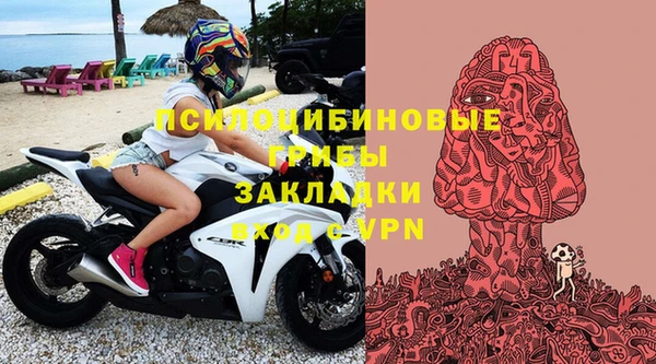 спайс Алексин