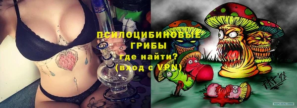 спайс Алексин