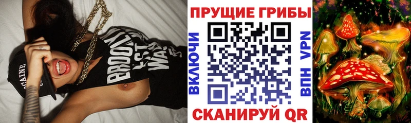 Галлюциногенные грибы Psilocybine cubensis  Троицк 